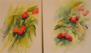http://www.aquarelle-en-champagne.org